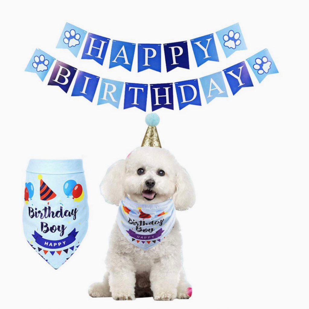 Birthday Boy Bandana and banner - For Dogs