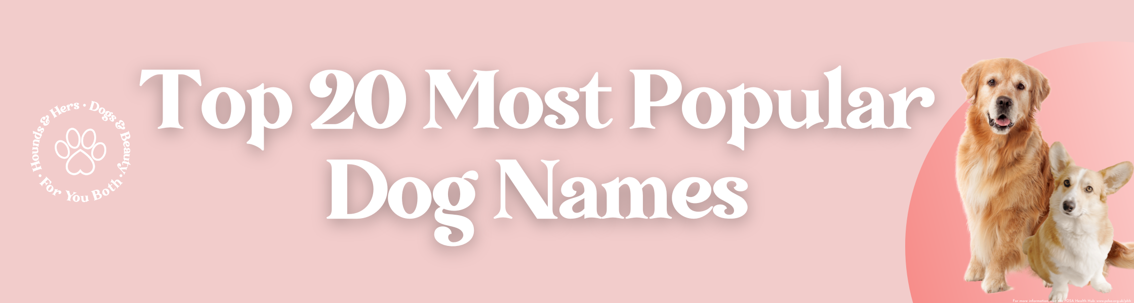 Image shows 'Top 20 Most Popular Dog Names' text with an image of a golden retriever and corgi dog.