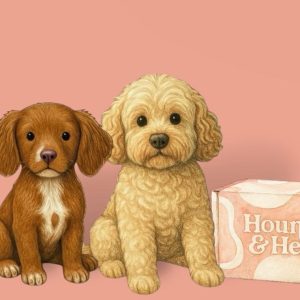 Live Sale | Pippadachshund_